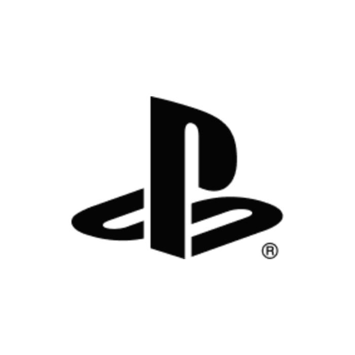 Sony PSN 25